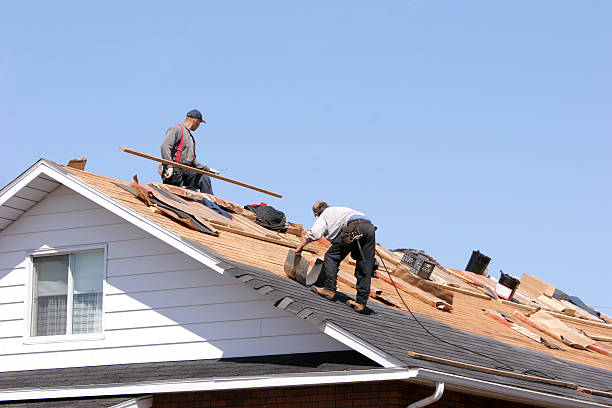 Shelby, MS Roofing services Company